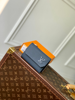Louis Vuitton Aerogram Pilot Wallet