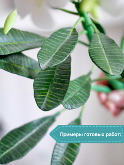 Молд F для лепки /пластиковая форма Лист Плюмерии Франжипани CLAYCRAFT BY DECO