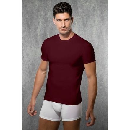 Мужская футболка бордовая Doreanse 2550 Vinous