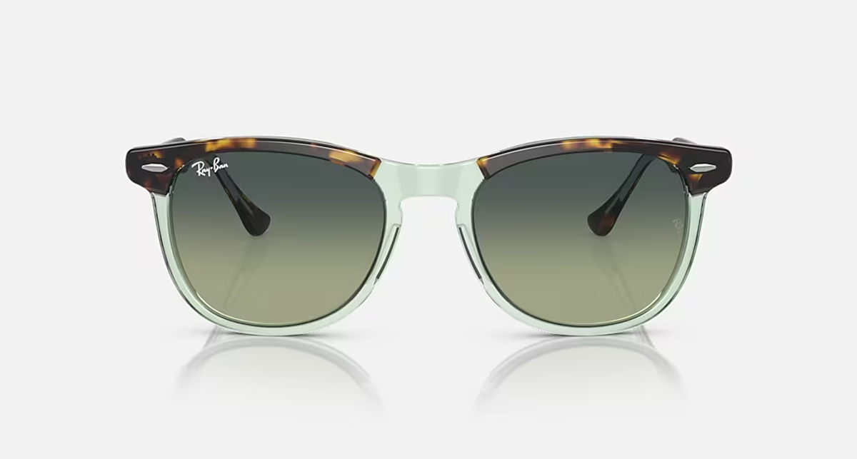 RAY-BAN EAGLE EYE RB2398 1376BH