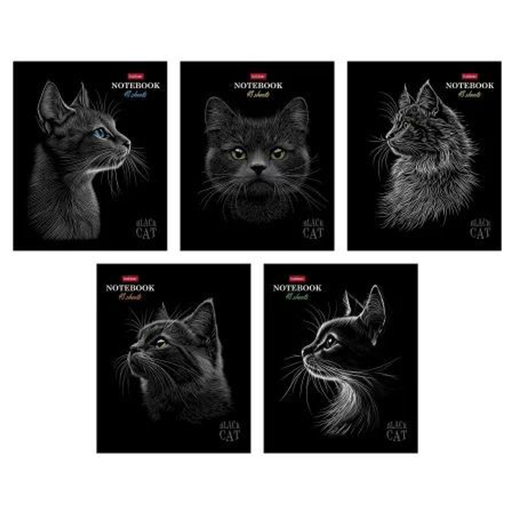 Тетрадь А5 48л кл. Hatber "Black Cat" мат.лам., 3Dлак, 5диз.в блоке
