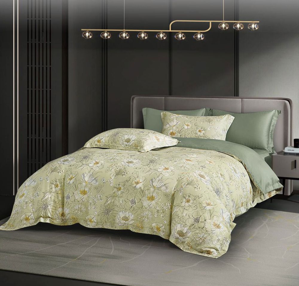 Постельное белье 2 спальное евро Asabella 1977-6