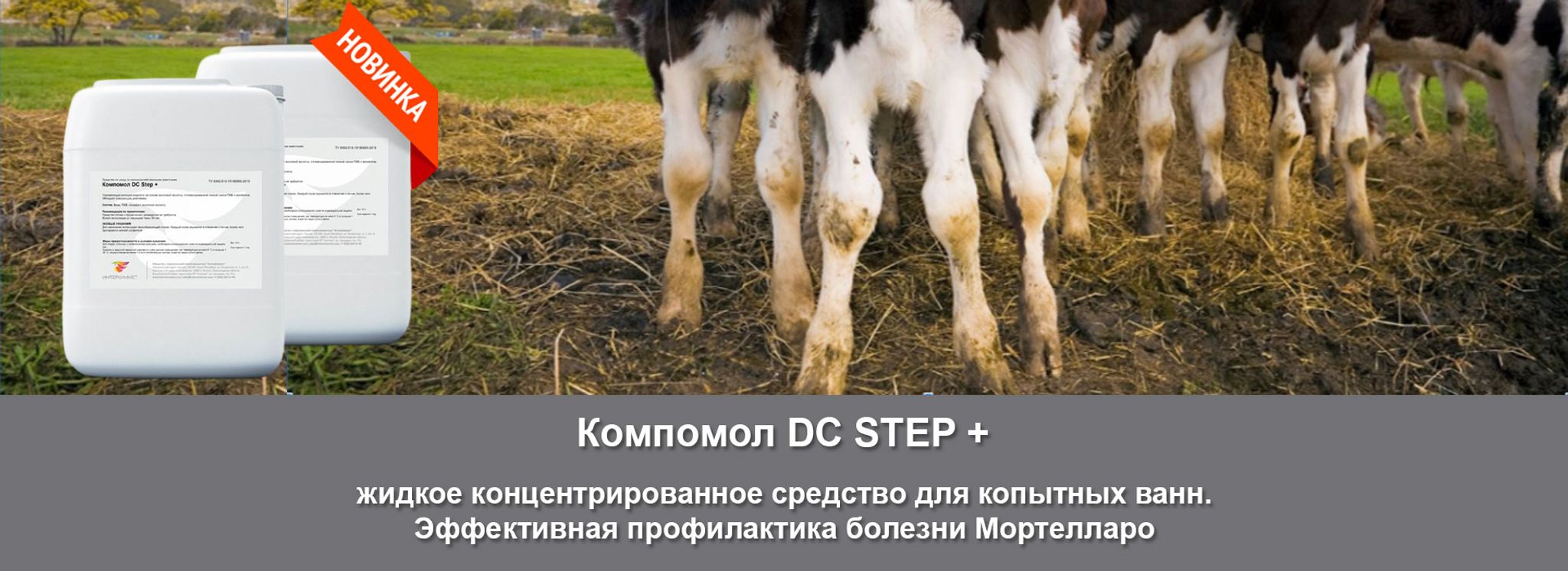 Слайды Блок 2