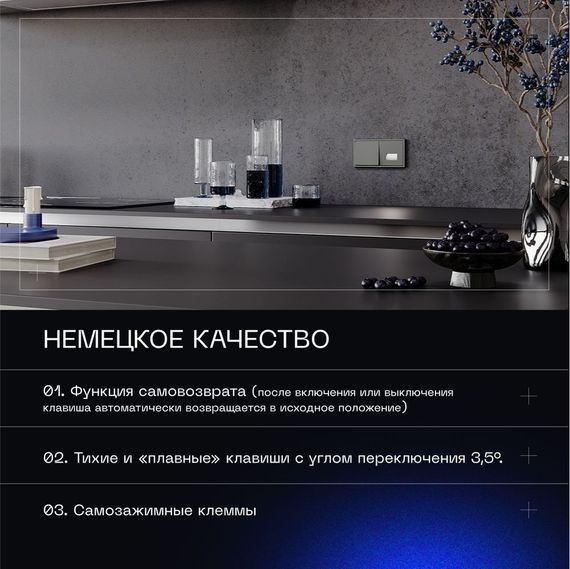 Выключатель с самовозвратом встраиваемый Voltum S70 одноклавишный 10А, (титан) VLS010606