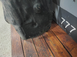 Подкрылок задний правый BMW X3 (G01) 17-нв Б/У Оригинал 51717394818