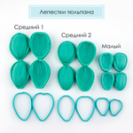 Тюльпан средний 2