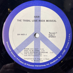 Винтажная виниловая пластинка LP Сборник 4 Operas Rock Jesus Christ Superstar, Tommy, Hair, Godspell (Spain 1975)