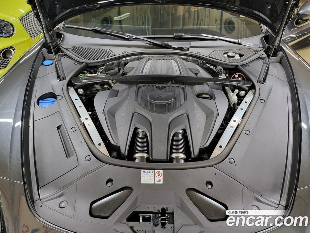 Porsche Panamera (971) 2.9 AWD Executive (08.2022)