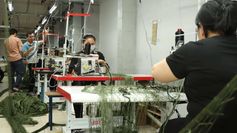 StartStore Pro: Галерея (Производство) Блок 6