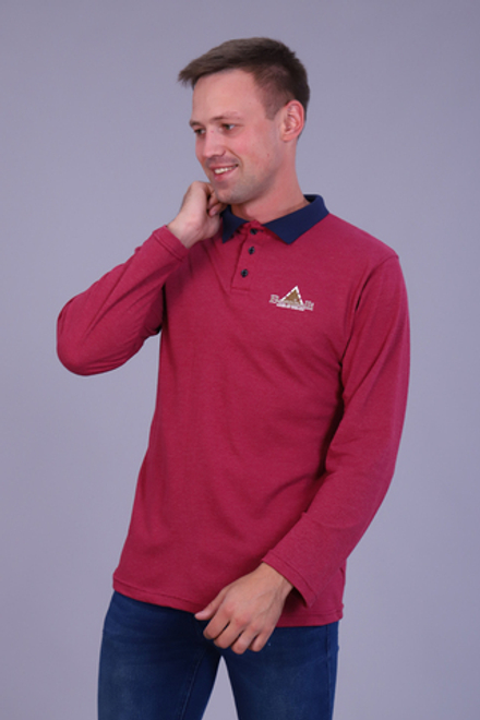 Футболка поло 6796