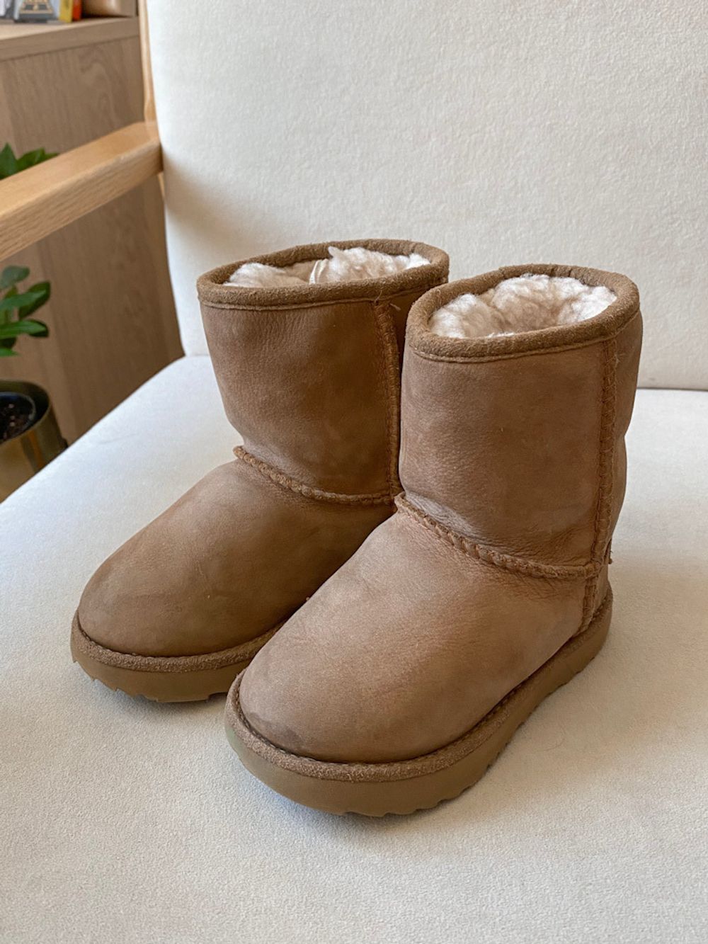 Сапоги Ugg