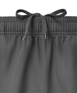 Шорты парадные JÖGEL PREMIER PerFormDRY Woven Shorts, темно-серый