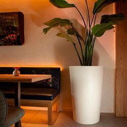 Кашпо BONSAI SAHARA D50 H20