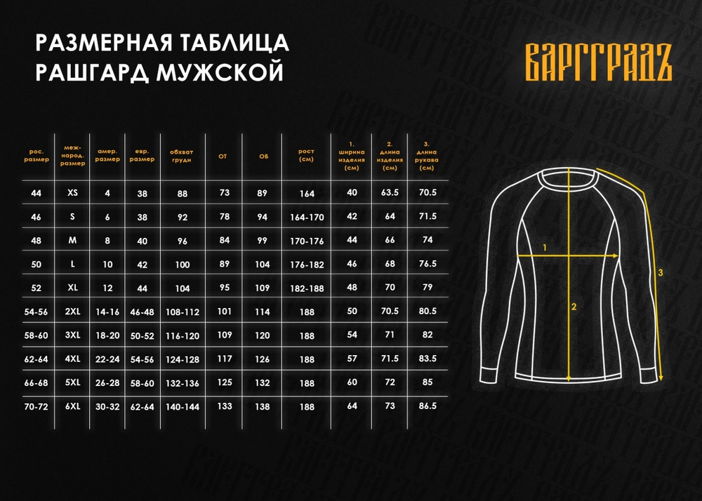 Комплект: Шорты и Рашгард "Солнце за нас" мужские