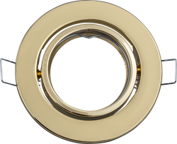 Светильник Navigator 93 019 NFS-02 (Поворотный золото)