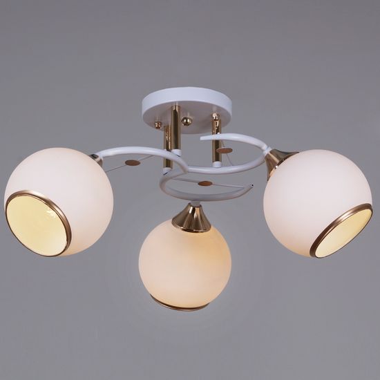 06117-0.3-03 WH+FG светильник потолочный