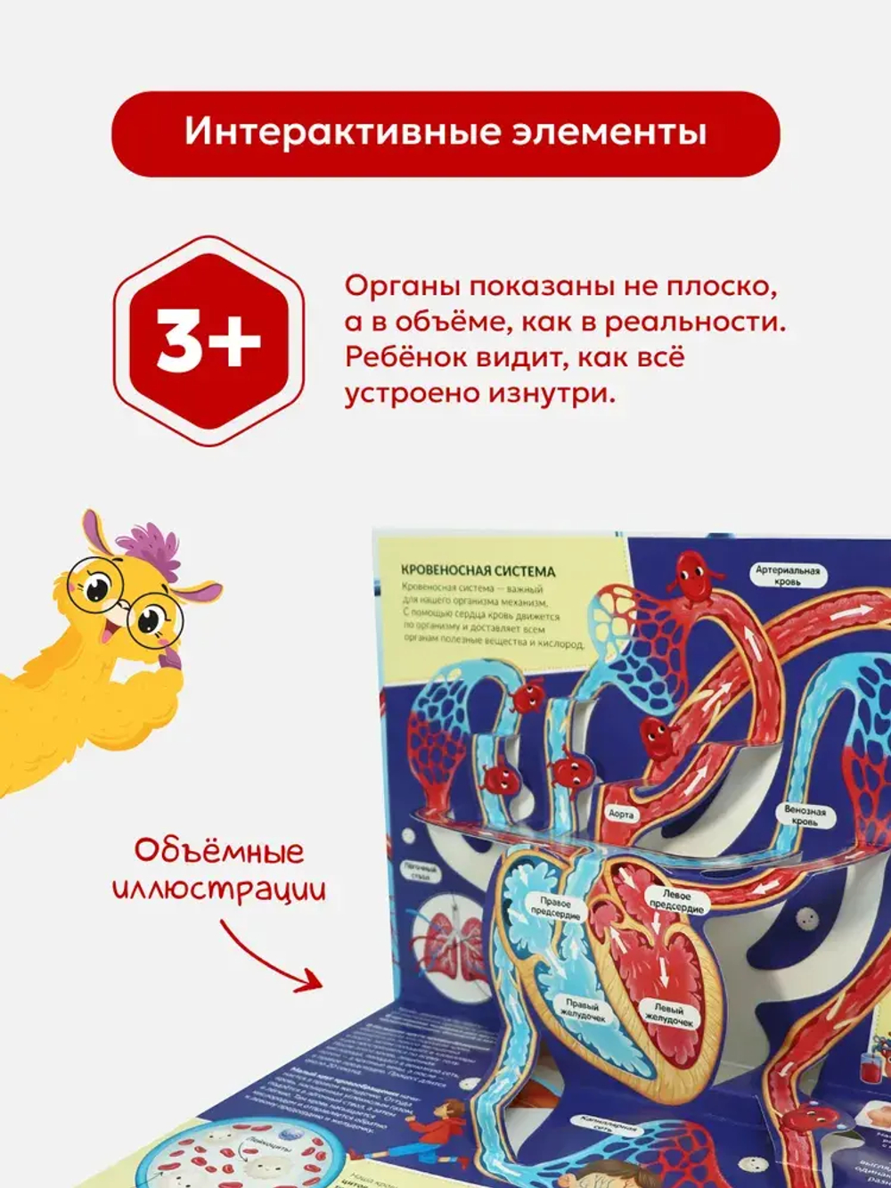 POP UP энциклопедия