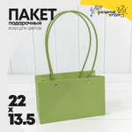 Пакет подарочный 22х13,5х10,5 Ваза для цветов (Зеленый)