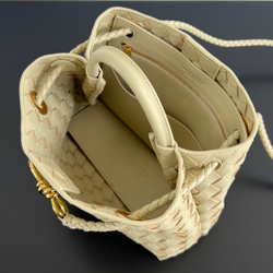Bottega Veneta Small Andiamo 25 cm