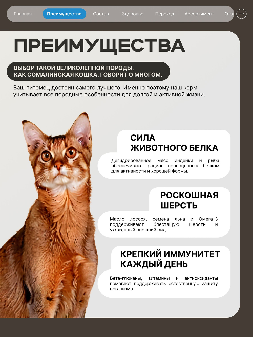 Корм сухой для взрослых кошек породы Сомалийская кошка, с лососем, 400 гр, QUATTRO
