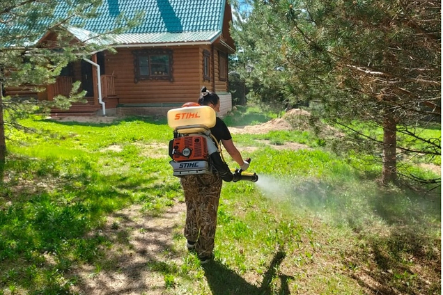 Пару слов зачем вам нужна обработка?