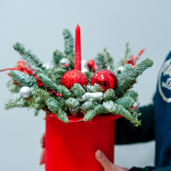 Новогодняя композиция из нобилиса 11