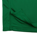 Баскетбольная мужская джерси Nike Dri-FIT NBA Swingman Boston Celtics Icon Edition 2022/23 Jaylen Brown