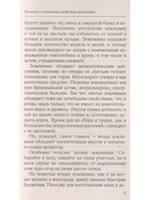 Крупноплодная садовая земляника. Лучшие сорта и современные технологии выращивания