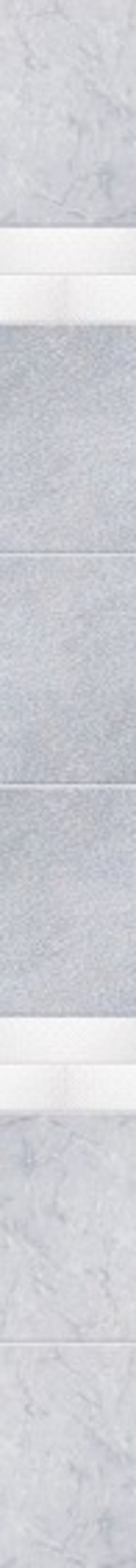 Панель ПВХ 3D Перо платина 2700х250 мм