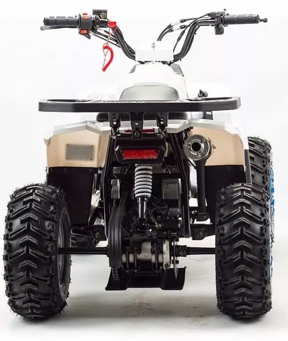 Квадроцикл MZ Eagle 110
