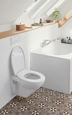 Клавиша смыва Villeroy&Boch ViConnect 922400RE Белая