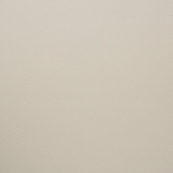 Искусственная кожа Grifon (Грифон) 02