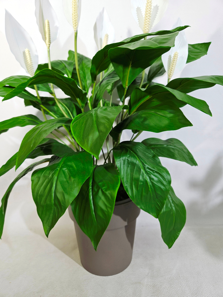 Искусственные цветы Спатифиллум белый в стильном кашпо