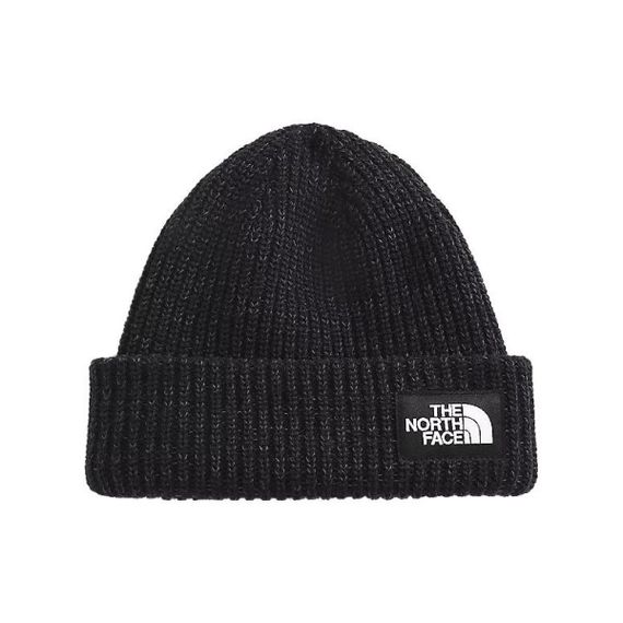 THE NORTH FACE FW21 Salty Dog Beanie 3FJW JK3