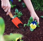 Совок для прополки узкий Tramontina для пересадки с деревянной ручкой