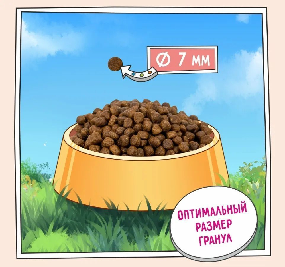 Корм для котят сухой ZILLII Kitten 2кг, с индейкой и ягнёнком