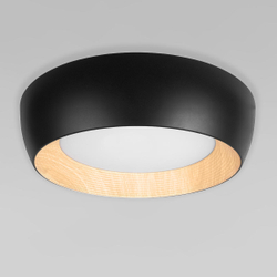 Светильник Потолочный Loft It Folk Black 10255/500
