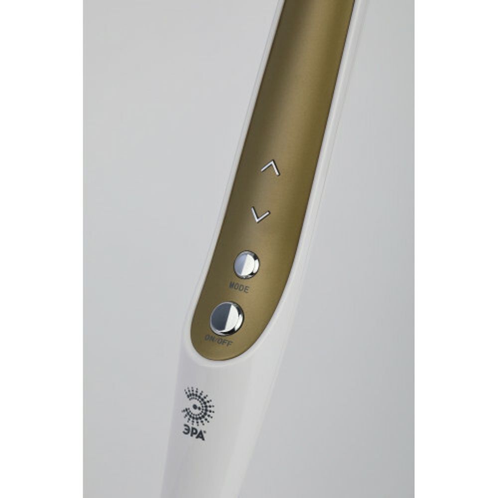 Настольный светильник ЭРА NLED-496-12W-G светодиодный на струбцине золото