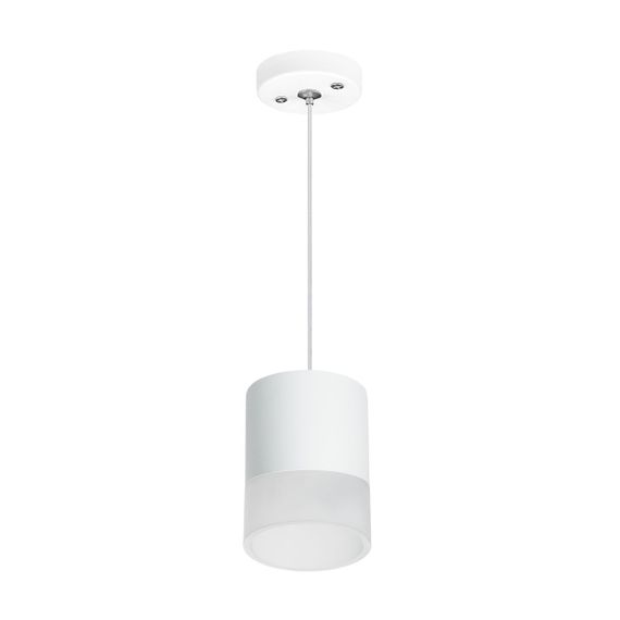 Комплект с подвесным светильником Lightstar Rullo (213486+590086+202481) RP348681