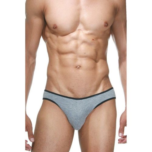 Трусы мужские слипы серые DARKZONE DZN6503