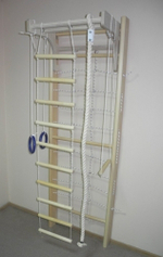 Спортивный пристенный комплекс Спайдер