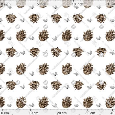 Сосновые шишки на белом фоне by tata_kutischeva 545 DPI