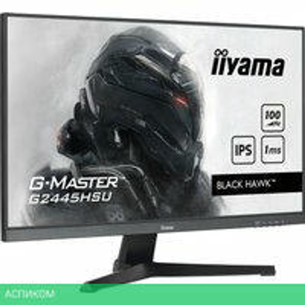 Игровой монитор Iiyama G-Master Black Hawk G2445HSU-B2