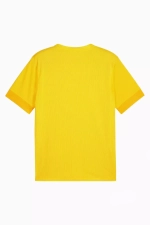 Футболка Puma teamGOAL Matchday