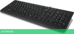 Клавиатура Lenovo 300 (GX30M39684)