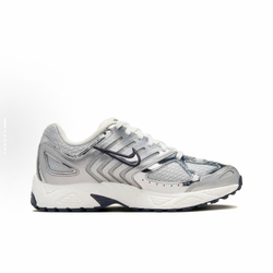 Кроссовки Nike Air Pegasus 2005 "Chrome"