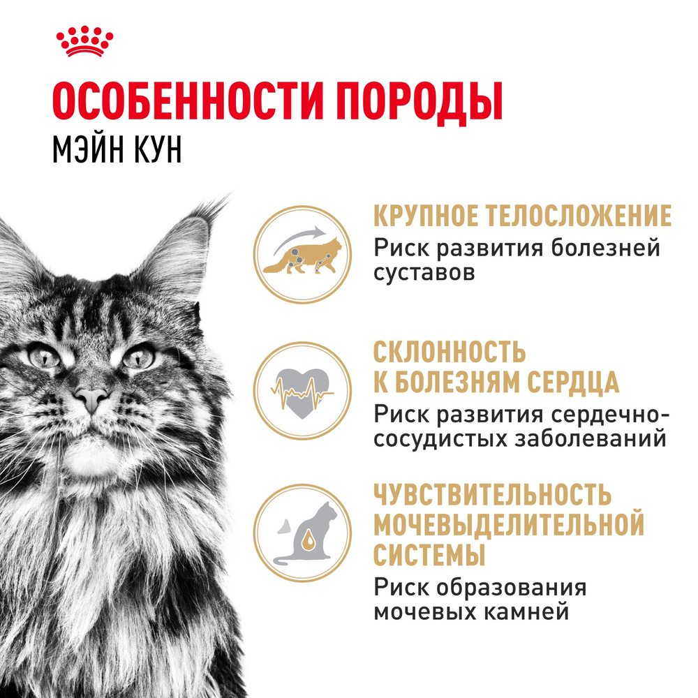Royal Canin Maine Coon Adult Мейн Кун Эдалт Корм сухой для взрослых кошек породы Мэйн Кун 400г