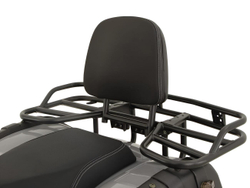 Квадроцикл GRIZZLY 200 Premium