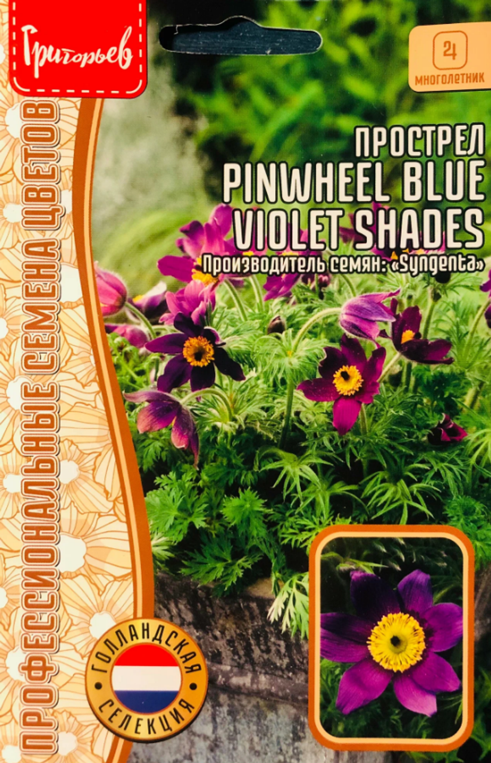 Прострел Pinwheel Blue Violet Shades 3шт ЧК