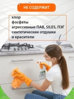 Набор чистящих средств для уборки 4 штуки